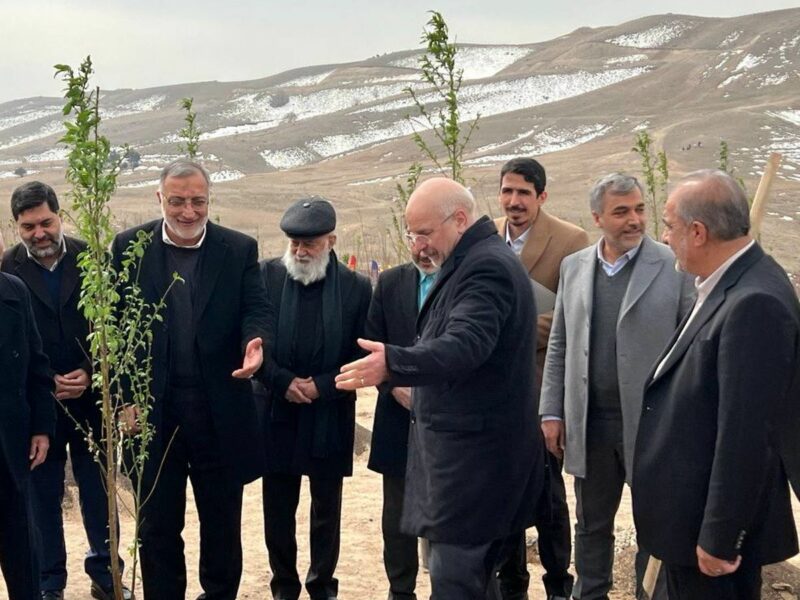 پایان کمربند سبز ۵۰ هزار هکتاری تهران پس از ۳۸ سال / درختکاری روی کوه‌های شمال تهران کلید می‌خورد