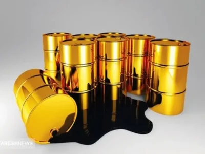 آینده طلای سیاه ، تاریک شد