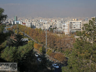 خشکی درختان پارک‌های جنگلی تهران؛ بحران از دل زمین و هجوم از تنه درختان