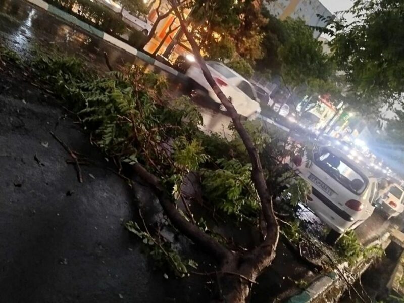 وزش باد شدید عصر امروز در پایتخت؛ هشدار نارنجی برای تهرانی‌ها صادر شد