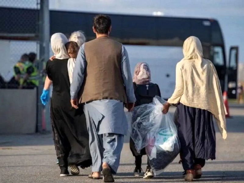 اخراج بیش از ۸۰۰ هزار تبعه افغانستانی از ایران/ چند نفر باقی می‌ماند؟