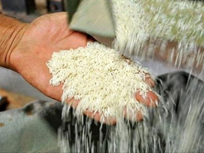 کاهش قیمت برنج ایرانی در میادین میوه و تره بار تهران