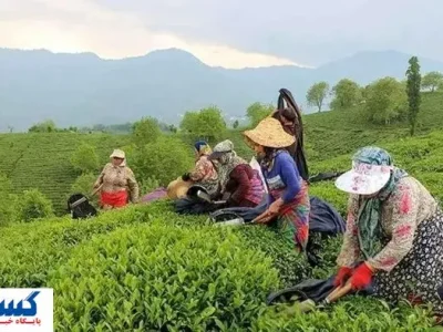 دولت به وعده‌اش عمل کرد | مطالبات پرداخت شد