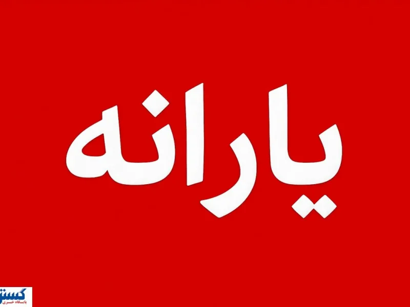 شانس مجدد برای بازگشت یارانه؛ حذف‌شدگان باید بدانند