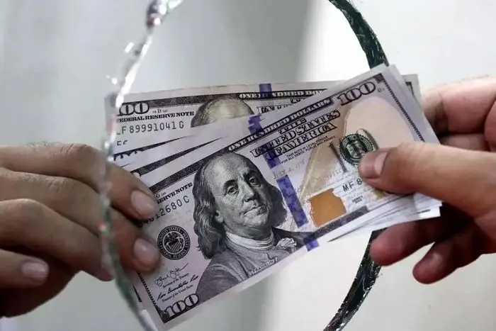 قیمت دلار در بازار آزاد ریزشی اعلام شد (۱۸ شهریور)