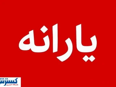 وزیر پزشکیان شرط بازگشت یارانه حذف‌شده‌ها را اعلام کرد