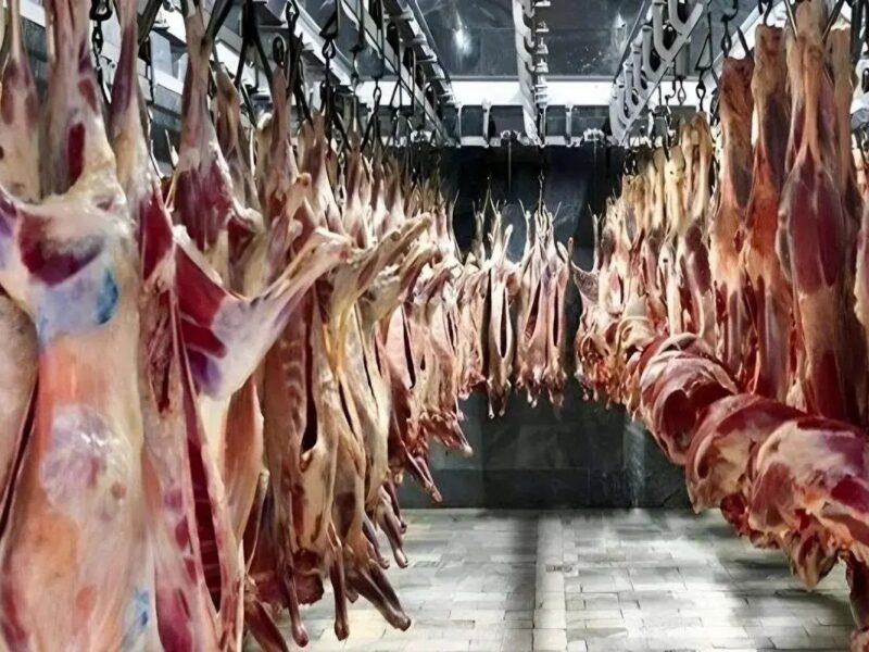 قیمت گوشت قرمز امروز ۸ آذر ۱۴۰۴ / راسته گوسفندی چند؟