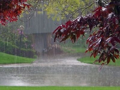 پیش بینی بارش پراکنده در استان‌های ساحلی دریای خزر