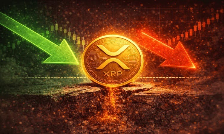 ریپل چیست و آیا آیندهای دارد؟ بررسی دقیق جایگاه آن در واچ لیست ۲۰۲۶