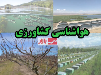 ضرورت انتقال محصولات کشاورزی برداشت شده به مکان‌های مسقف