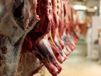 قیمت گوشت قرمز امروز ۱۲ آذر ۱۴۰۴ / گوشت چرخ‌کرده چند؟