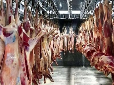 قیمت گوشت قرمز امروز ۱۳ آذر ۱۴۰۴ / ماهیچه گوساله چند؟