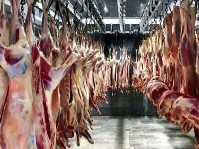 قیمت گوشت قرمز امروز ۱۷ آذر ۱۴۰۴ / فیله گوساله چند؟