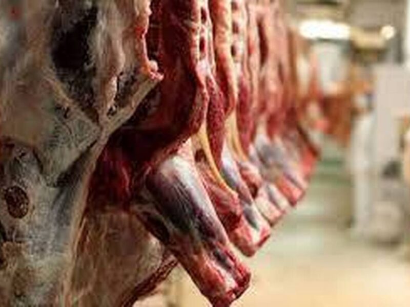 قیمت گوشت قرمز امروز ۱۸ آذر ۱۴۰۴ / گوشت چرخکرده چند؟