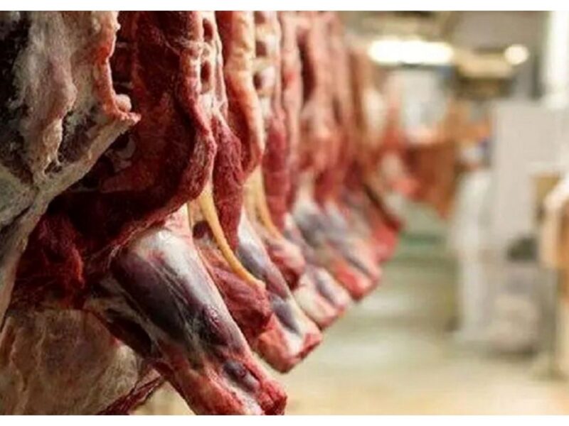 قیمت گوشت قرمز امروز ۳۰ آذر ۱۴۰۴ / راسته گوسفندی چند؟