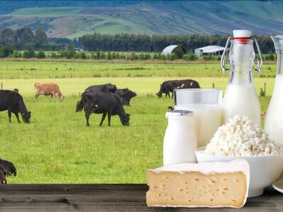 لبنیات دوباره گران شد