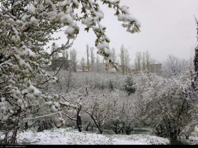هشدار هواشناسی به ۲۵ استان؛ خسارت به محصولات کشاورزی با تشدید بارش‌ها