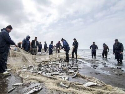 افزایش سهم ایران از صید تون‌ماهیان اقیانوس هند| وابستگی ۱۵ درصدی به واردات