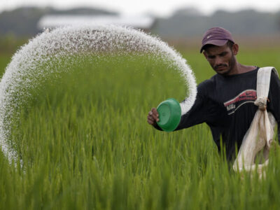 اندازه ۷۷میلیارد دلاری بازار جهانی کود اوره| دلایل رونق بازار کود و سموم تقلبی در ایران