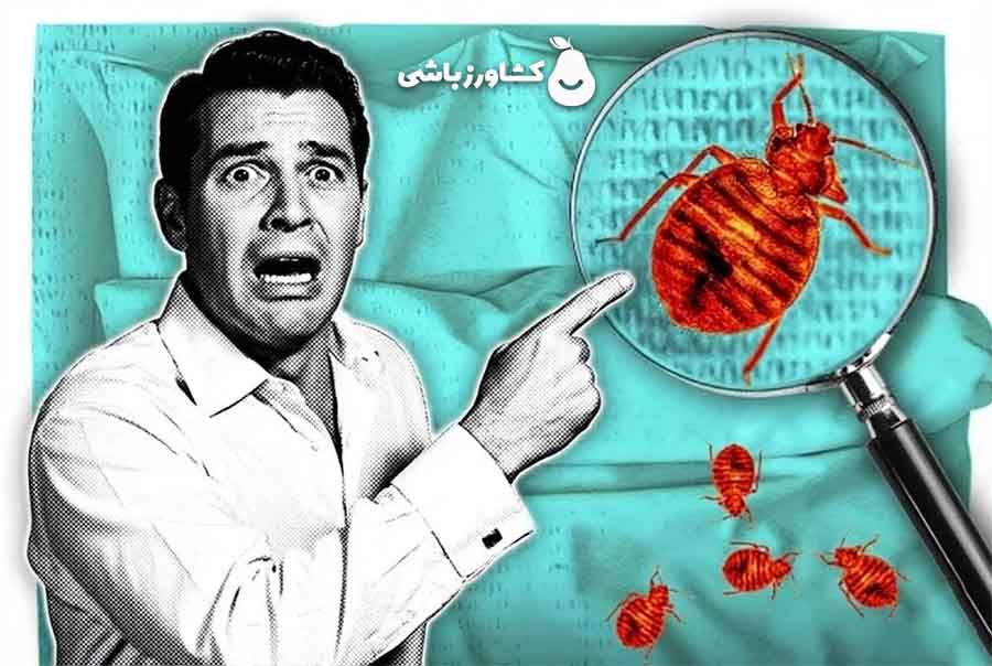 عکس ساس تختخوابی