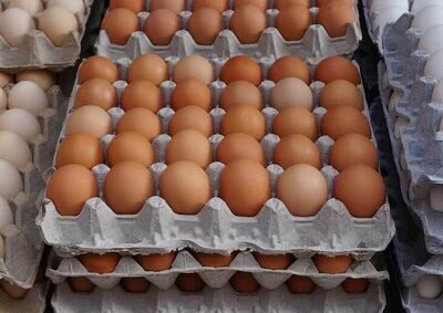 عقب‌نشینی تدریجی قیمت ها در بازار پس از شوک حذف ارز ترجیهی