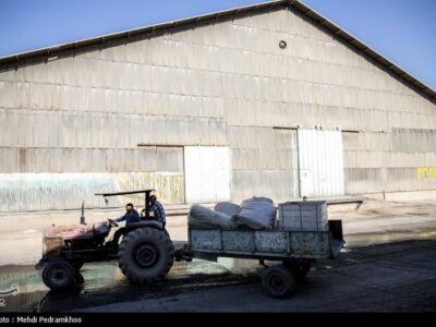 ۹۵ درصد سهام هفت تپه واگذار می‌شود