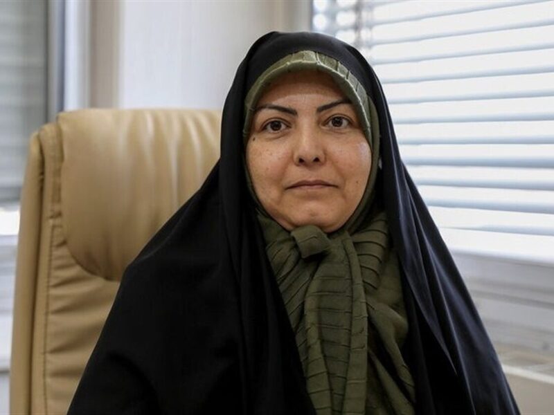 ارزش افزوده یک تن محصول پتروشیمی ۴۰۰ دلار و در آلمان ۲۵۰۰ دلار/ ضرورت تغییر پارادیم در حکمرانی انرژی