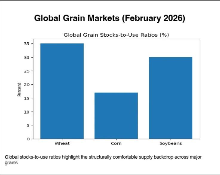 بازارهای جهانی غلات بر سر دوراهی؛ فراوانی، رقابت و توهم ثبات