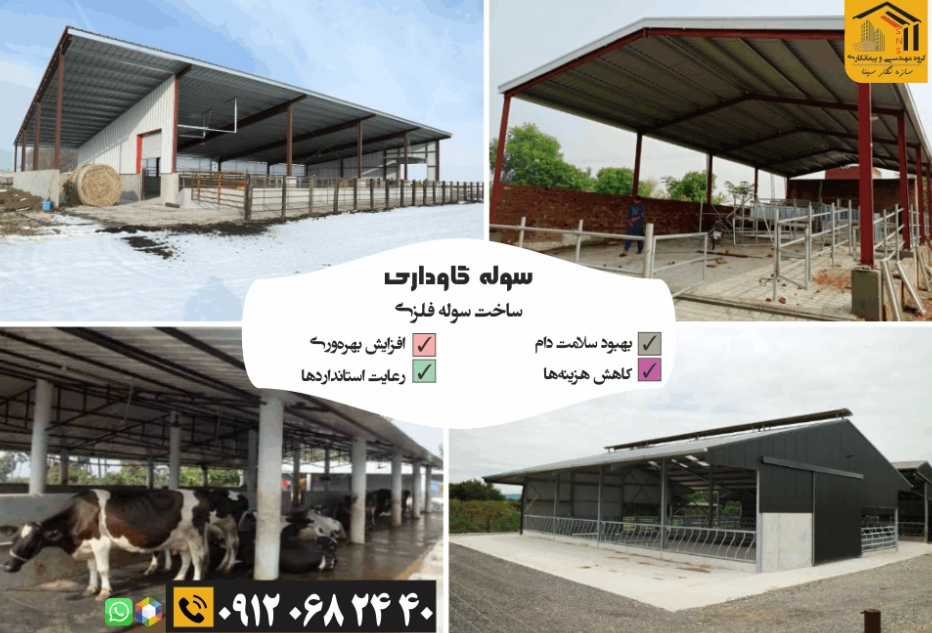 سوله مرغداری