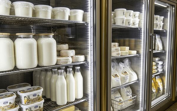 غدانه شگفتی ساز شد؛ عقبگرد نمادهای غمارگ و غالبر در بحبوحه گرانی لبنیات 