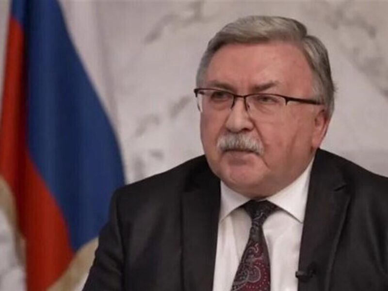 اولیانوف: حمله به تاسیسات بوشهر را افراد روانی انجام دادند