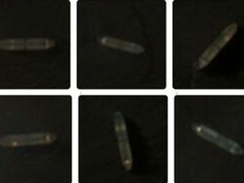 عبور ۴ نفتکش ایرانی از محاصره دریایی آمریکا + عکس