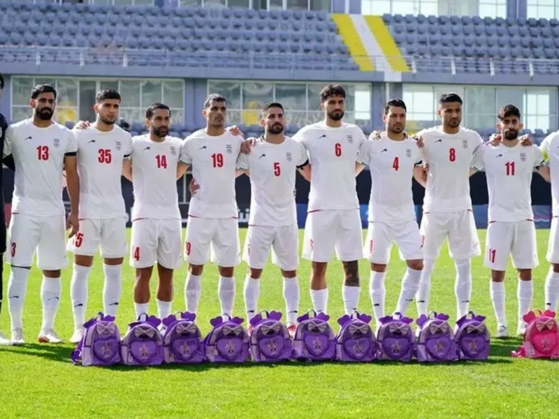 یوز‌های ایرانی در رده بیست‌ویکم رنکینگ فیفا