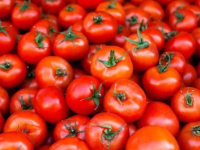 بازار صادراتی جان گرفت / دستور تازه گمرک برای خروج آزادانه سه کالای حساس