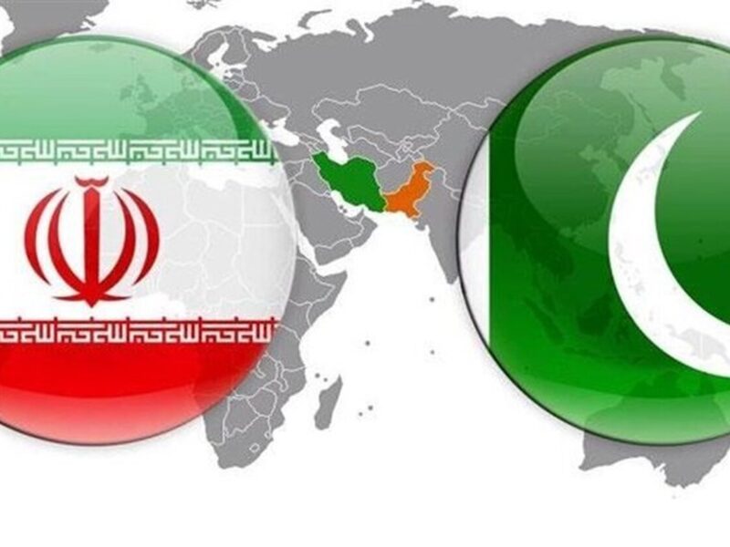 دیدار طولانی وزیر کشور پاکستان با پزشکیان / پیام اسلام‌آباد به تهران چه بود؟
