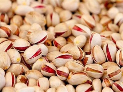 آغاز معاملات گواهی سپرده پسته از سه‌شنبه