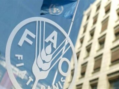 فائو هشدار داد: جهان با افزایش قیمت مواد غذایی مواجه است