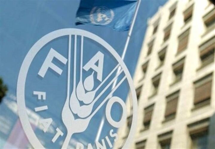 فائو هشدار داد: جهان با افزایش قیمت مواد غذایی مواجه است