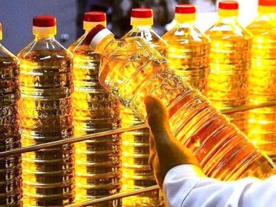 آفتابگردان در بنبست آبراه؛ تنگنای سرخ بر طلای زرد| خزر در مدار طلای روغنی