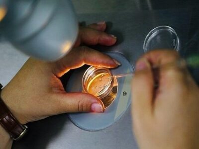 فریز تخمک برای همه زنان مناسب نیست